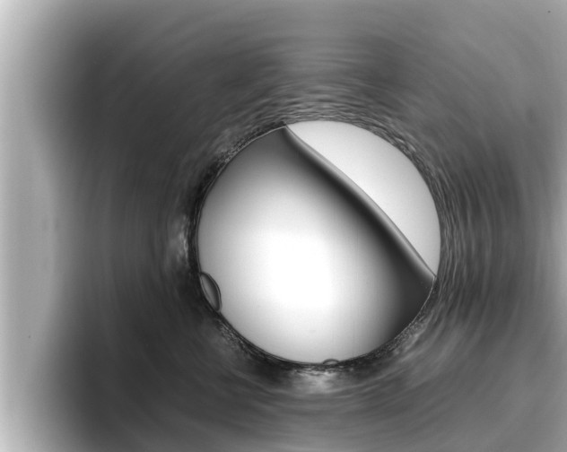 X0000096670570200802051012