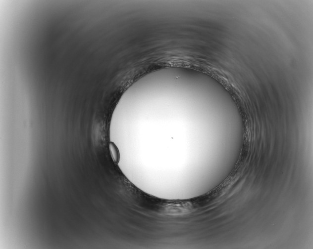 X0000096670571200802051012