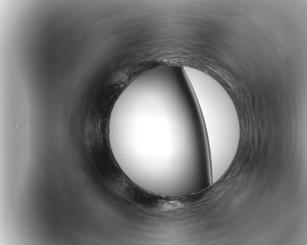 X0000096670572200802051012