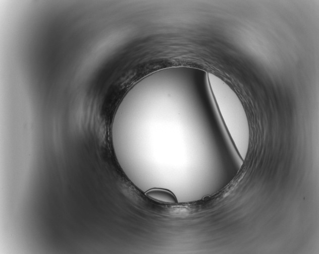 X0000096670574200802051012