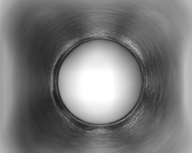 X0000096670578200802051011