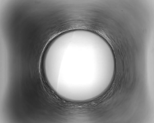 X0000096670579200802051011