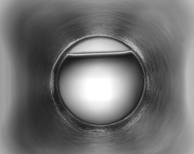X0000096670580200802051011