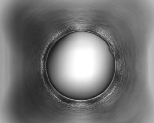 X0000096670581200802051011