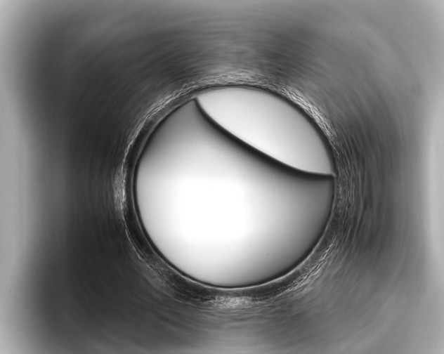 X0000096670582200802051011