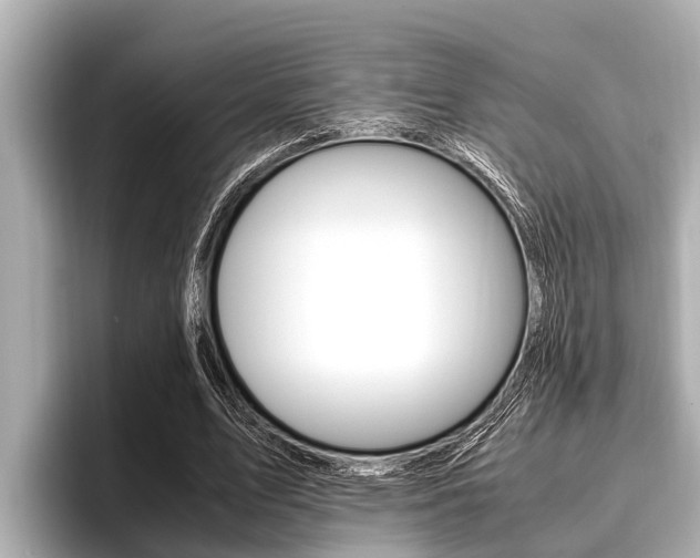 X0000096670583200802051011