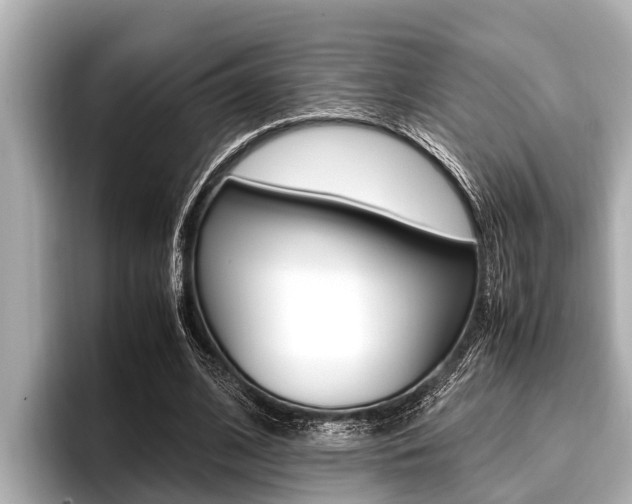 X0000096670584200802051011