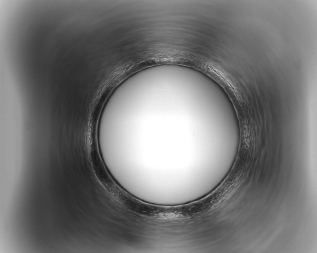 X0000096670586200802051011