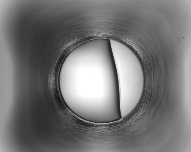 X0000096670587200802051011