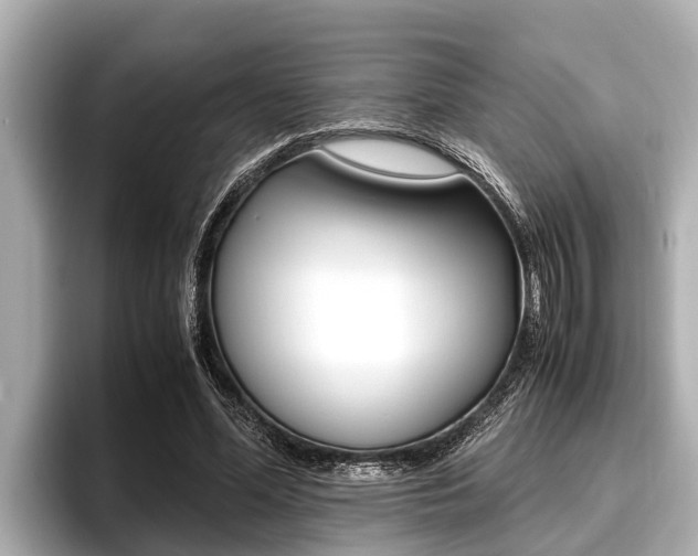 X0000096670588200802051011
