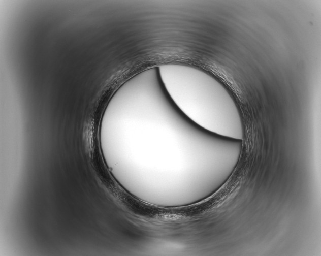 X0000096670590200802051011