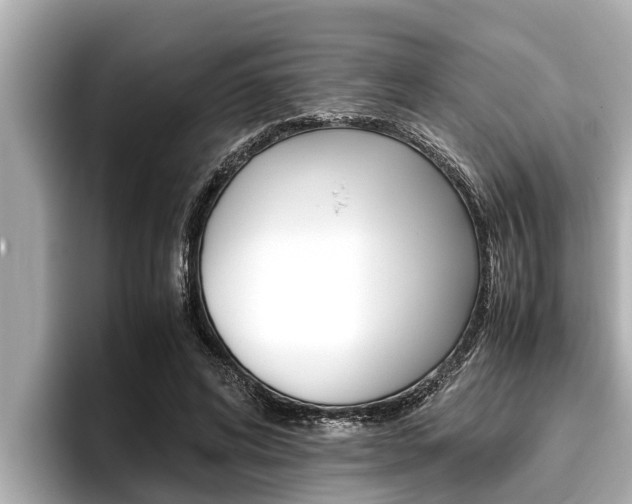 X0000096670592200802051011
