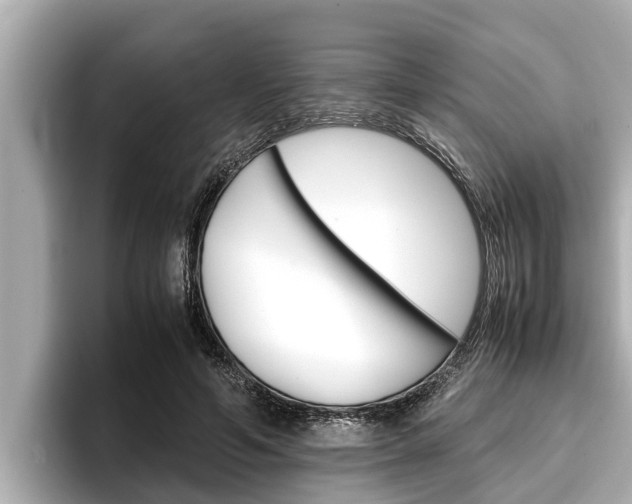 X0000096670594200802051011