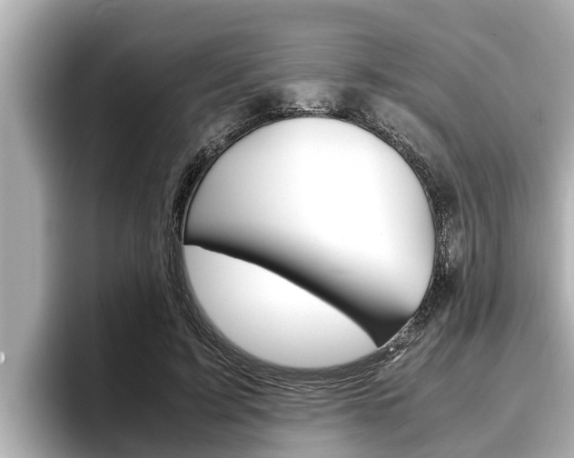 X0000096670595200802051011