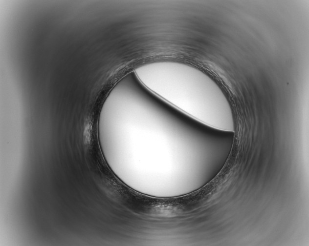 X0000096670596200802051011