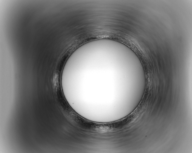 X0000096670598200802051011
