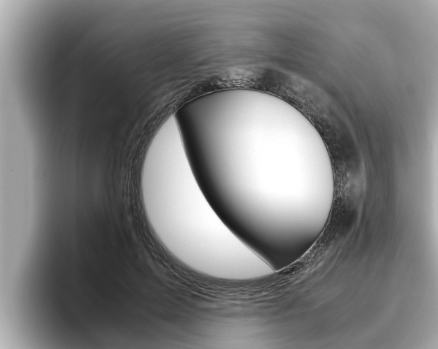 X0000096670599200802051011