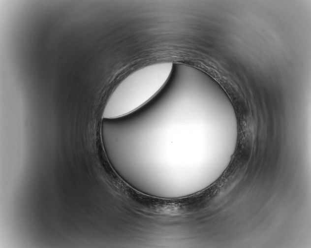 X0000096670600200802051011