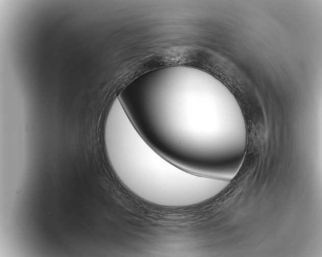 X0000096670601200802051011