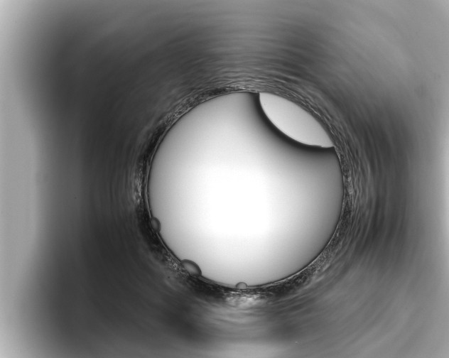 X0000096670602200802051011
