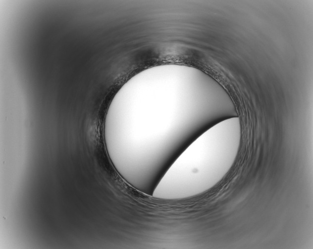 X0000096670603200802051011
