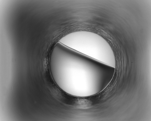X0000096670605200802051011
