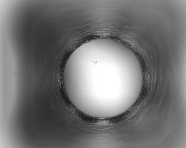X0000096670609200802051011