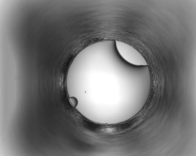 X0000096670610200802051011