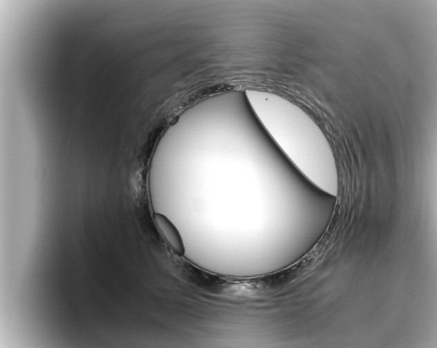 X0000096670611200802051011