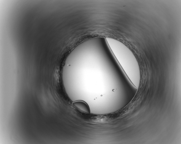 X0000096670612200802051011