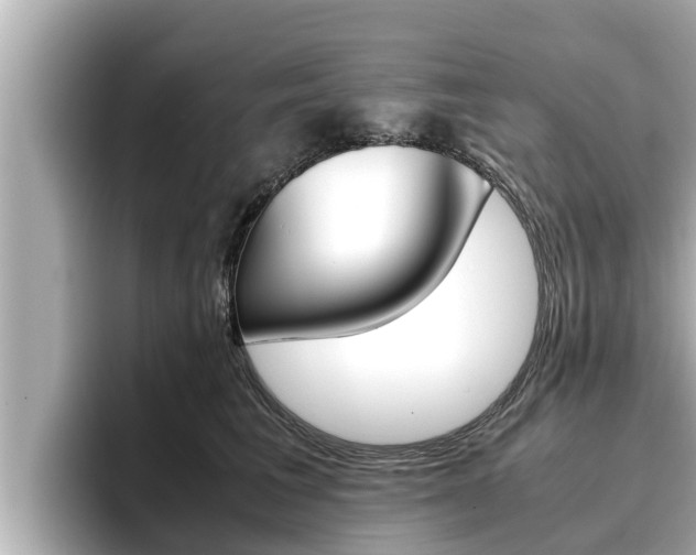 X0000096670613200802051011