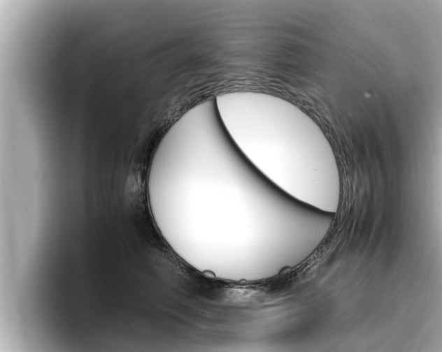 X0000096670614200802051011