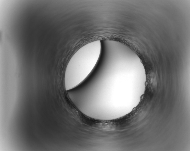 X0000096670615200802051011