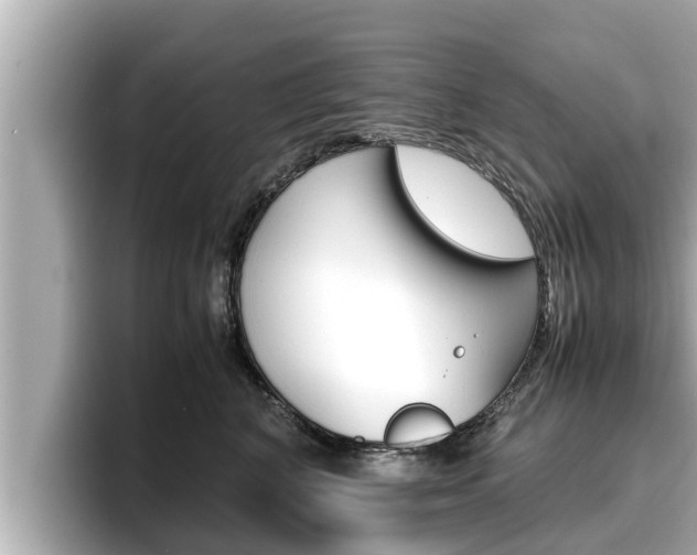 X0000096670616200802051011