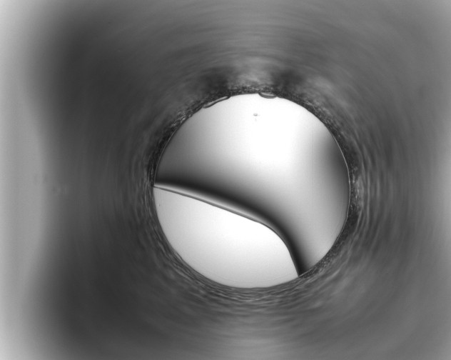 X0000096670617200802051011