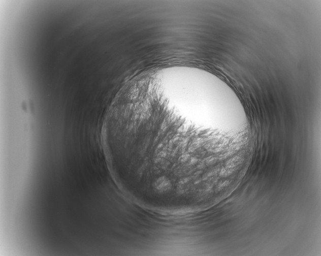 X0000096670618200802051011