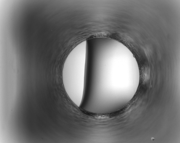 X0000096670619200802051011