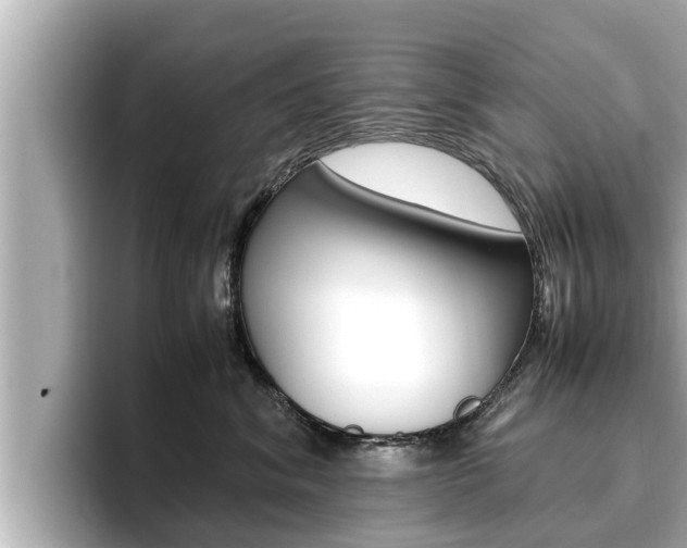 X0000096670620200802051011