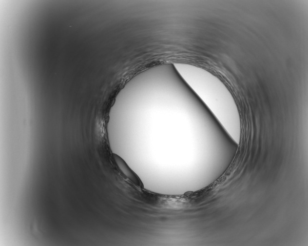 X0000096670621200802051011