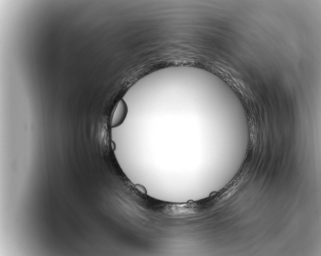 X0000096670622200802051011
