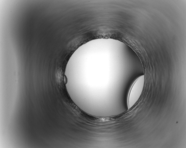 X0000096670623200802051011