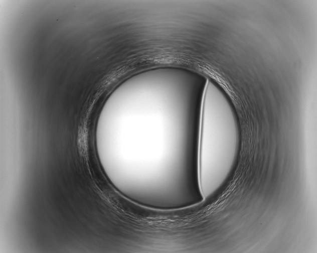X0000096670626200802051010