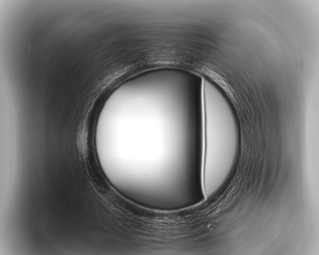 X0000096670627200802051010