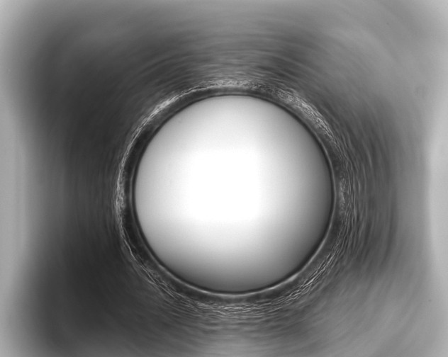 X0000096670628200802051010