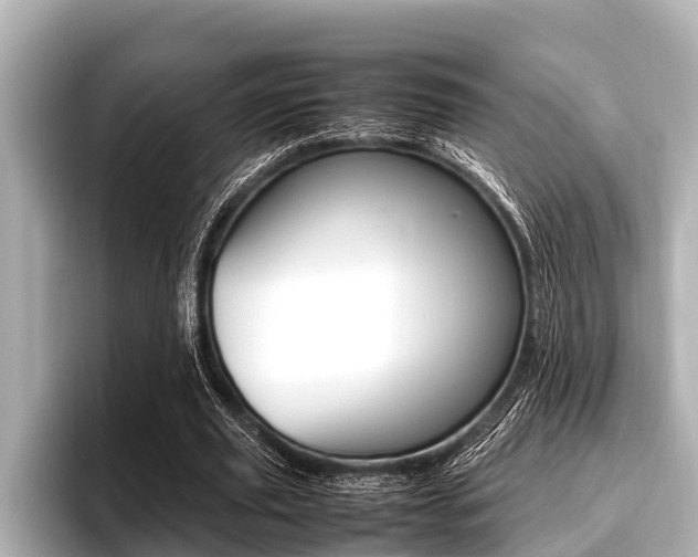 X0000096670629200802051010