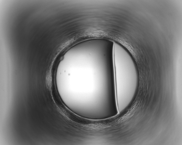 X0000096670630200802051010