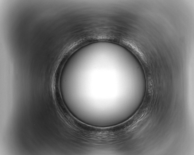 X0000096670631200802051010