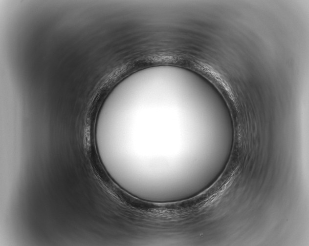 X0000096670633200802051010