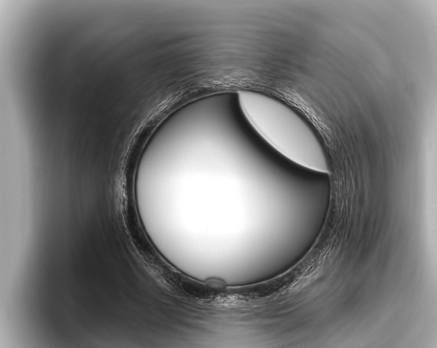 X0000096670634200802051010