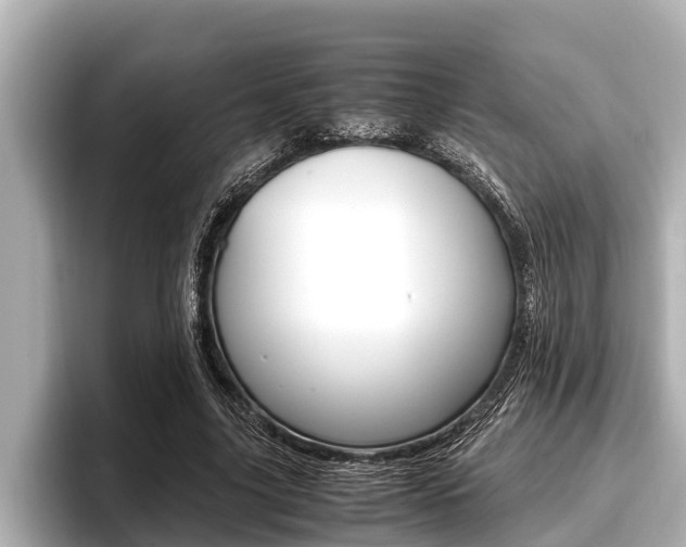 X0000096670635200802051010